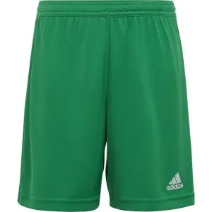 adidas ENT22 SHO Y Fußballshorts für Jungs, grün, größe