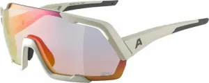 Alpina Rocket QV Cool/Grey Matt/Rainbow Fahrradbrille