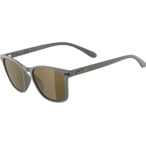 Alpina Sports YEFE Sonnenbrille, dunkelgrau, größe