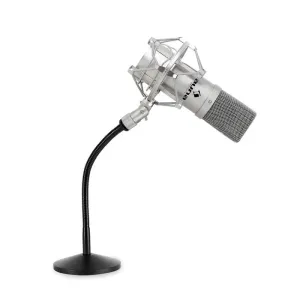 Auna Studio Mikrofonset mit USB Mikrofon in silber & Mikrofontischstativ