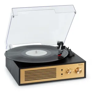 Auna Berklee TT Classic Plattenspieler Riemenantrieb 33,3 & 45 U/min Stereo #274783