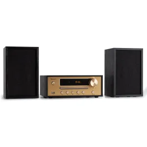 Auna Berklee HiFi Stereo System BT Stereo-Lautsprecher UKW MP3 USB Line-In #274781