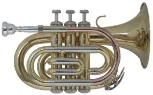 Bach PT650 Bb Bb Trompete