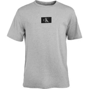 Calvin Klein ´96 GRAPHIC TEES-S/S CREW NECK Herrenshirt, grau, größe