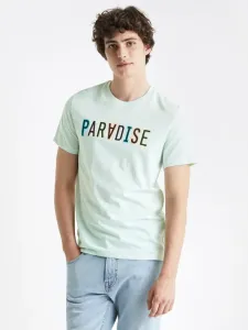 Celio Ceradise T-Shirt Grün #399544