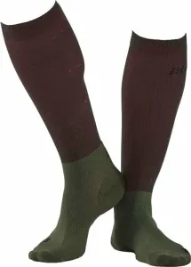 CEP WP30T Recovery Tall Socks Men Forest Night IV Laufsocken