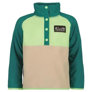 DIDRIKSONS MONTE Kinder  Sweatshirt, grün, veľkosť 120
