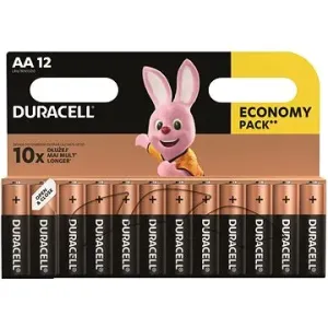 Duracell Basic Alkaline Batterie AA - 12 Stück