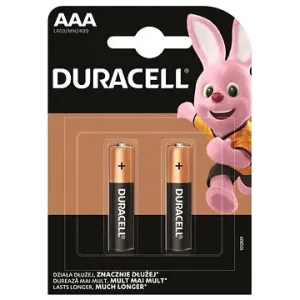 Duracell Basic Alkaline Batterie AAA - 2 Stück