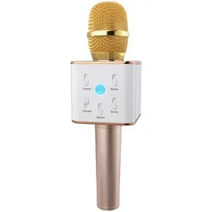 Eljet Karaoke-Mikrofon Performance gold