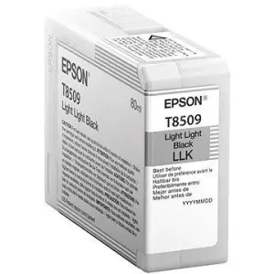 Epson T7850900 Light Schwarz
