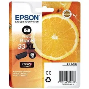 Epson Tintenpatrone T3361 Foto - schwarz