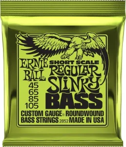 Ernie Ball 2852 Regular Slinky Bass