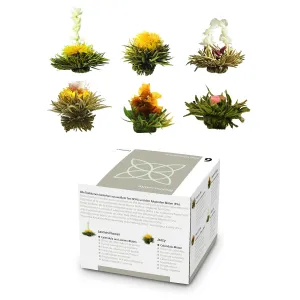Feelino Teeblumen 6 verschiedene Sorten einzeln verpackt sehr ergiebig