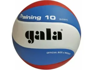 Volleyball Gala Ausbildung 10 platten #263879
