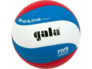 Volleyball Gala Ausbildung 10 platten #263880