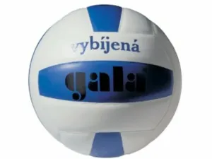 Volleyball Gala mini ausbildung Völkerball