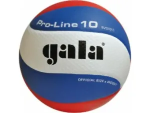 Volleyball Gala PRO-LINE 10 Platten 5581 S