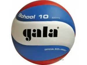 Volleyball Gala Schule 10 platten