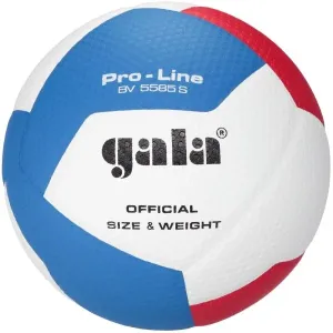 GALA BV5585 PRO-LINE 12 Volleyball, weiß, größe