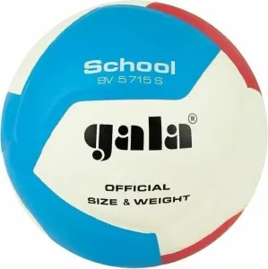 Gala School 12 Hallenvolleyball