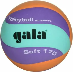 GALA SOFT 170 BV 5681 SC Volleyball, violett, größe