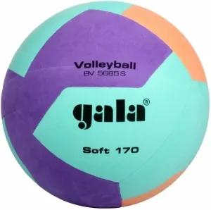 Gala Soft 170 Classic Hallenvolleyball #1508008