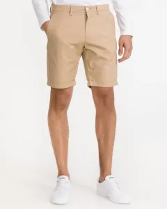 Gant D2.Regular Sunfaded Shorts Beige