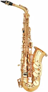 Grassi GR SAL700BUNDLE Alt Saxophon #1599968