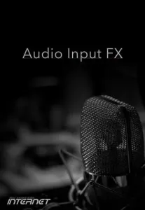 Internet Co. Audio Input FX (Digitales Produkt)