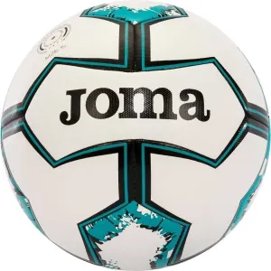 Joma DYNAMIC II BALL Fußball, weiß, größe