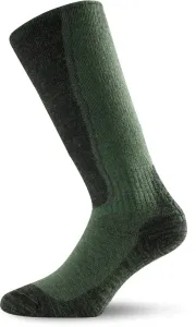 Socken Lasting WSM
