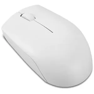 Lenovo 300 Wireless Compact Mouse (Cloud Grey) #1370705