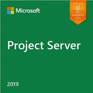 Microsoft Project Server 2019 (elektronische Lizenz)