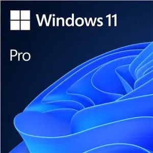 Microsoft Windows 11 Pro DE (OEM)