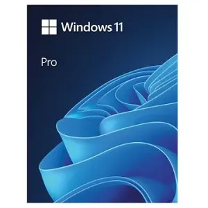 Microsoft Windows 11 Pro (elektronische Lizenz)