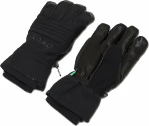 Oakley B1B Glove Blackout 2XL SkI Handschuhe