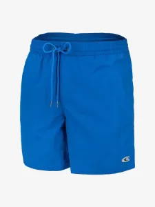 O'Neill PM VERT SHORTS Herren Wasser Shorts, blau, größe #942451