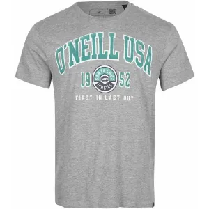 O'Neill SURF STATE T-SHIRT Herrenshirt, grau, größe