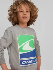 Sweatshirts mit Reißverschluss O'Neill