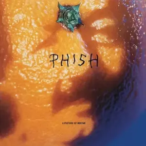 Phish (Band) - A Picture of Nectar (Grape Apple Pie Coloured) (2LP)