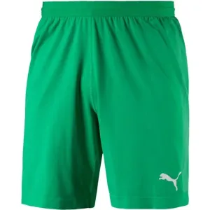 Puma FINAL evoKNIT GK Shorts Shorts für Torhüter, grün, größe M