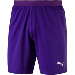 Puma FINAL evoKNIT GK Shorts Shorts für Torhüter, violett, veľkosť L