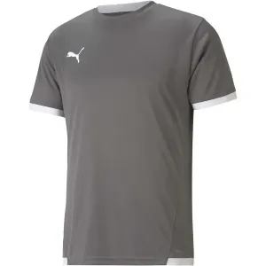 Puma TEAM LIGA JERSEY Herren Fußballshirt, grau, veľkosť M