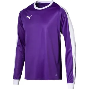 Puma LIGA GK JERSEY Herren Shirt, violett, veľkosť XL