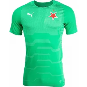 Puma SLAVIA FINAL EVOKNIT GK Herren T-Shirt, grün, veľkosť XL