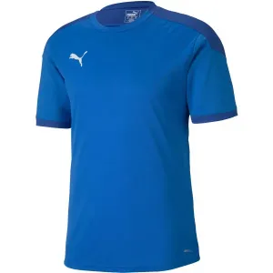 Puma TEAM FINAL 21 TRAINING JERSEY Herrenshirt, blau, größe #984653