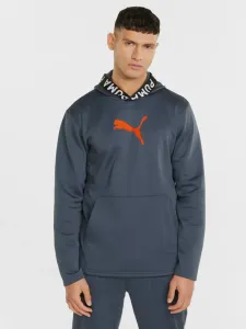 Puma Sweatshirt Grau #1145957