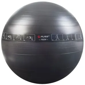 Pure 2 Improve Exercise Ball Schwarz 75 cm