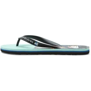 Quiksilver MOLOKAI PANEL Herren Flip Flops, farbmix, größe 41